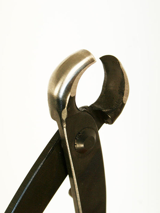 Bonsai knobbeltang 175 mm