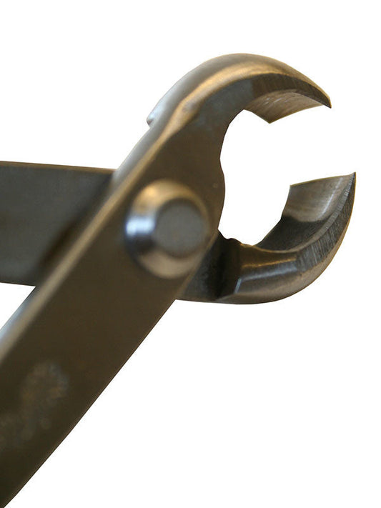 Bonsai Ryuga knobbeltang RVS 179 mm