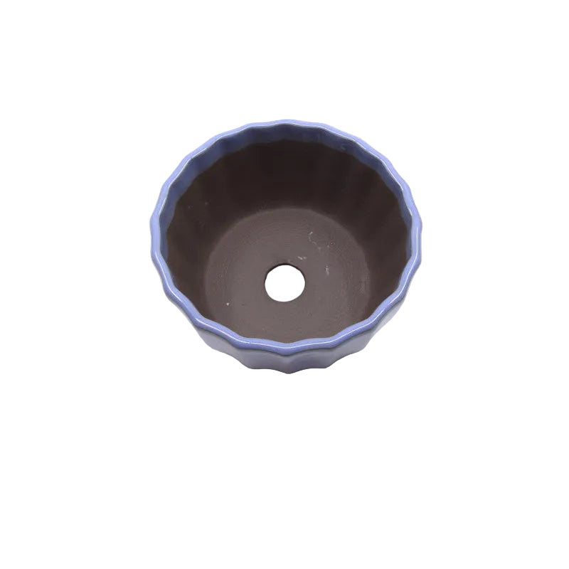 Bonsai pot light blue chrysanthemums 12cm