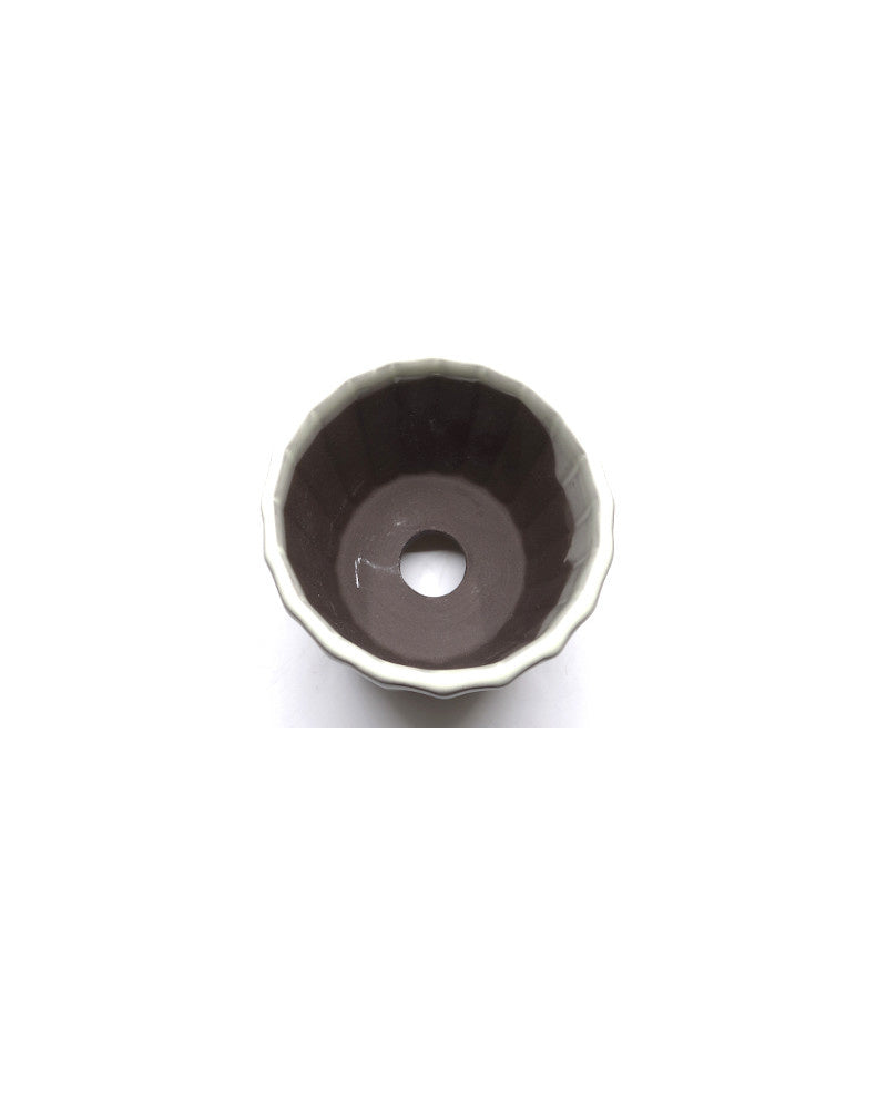 Shohin Bonsai pot white chrysanthemums 10cm