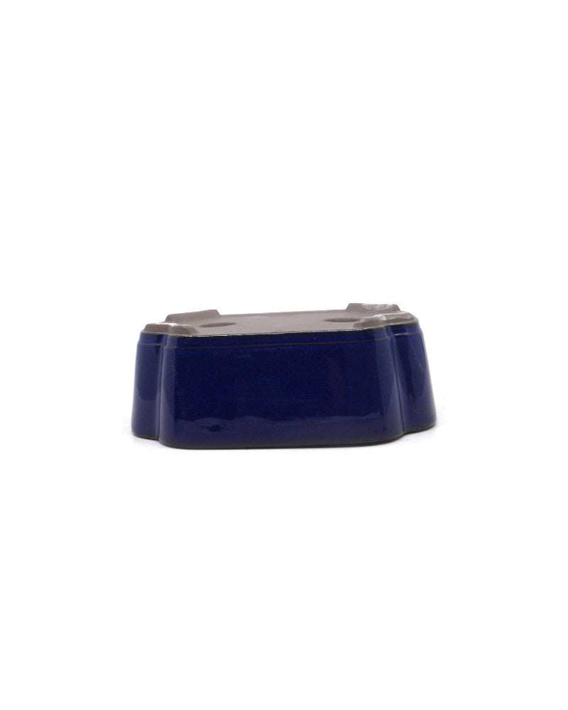 Bonsai pot, blue, lotus, 16cm