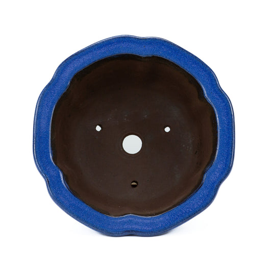 Bonsai pot cascade licht blauw lotus 22cm, hoogte ~ 11cm