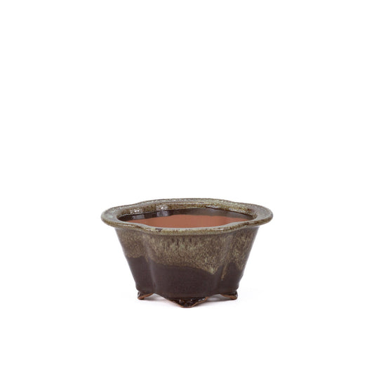 Bonsai pot chrysanthemums brown beige 15.5cm