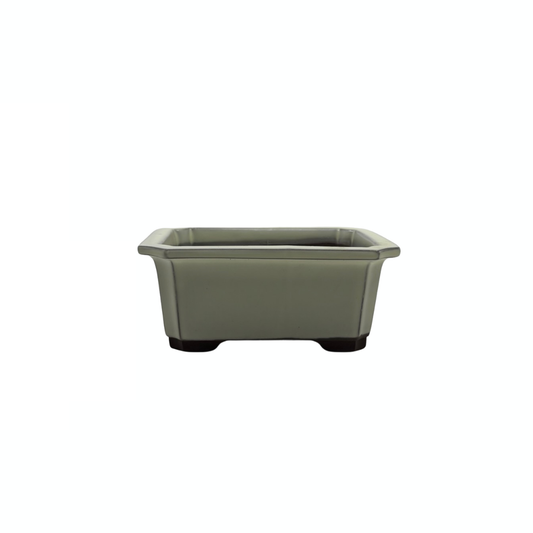Bonsai pot set - rectangular, glazed, cream (14cm wide)