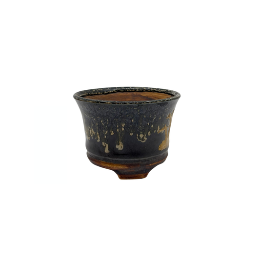 Shohin Bonsai pot black with gold René Lecocq 9cm