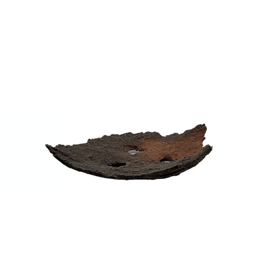 Bonsai slab brown with red accents 26cm