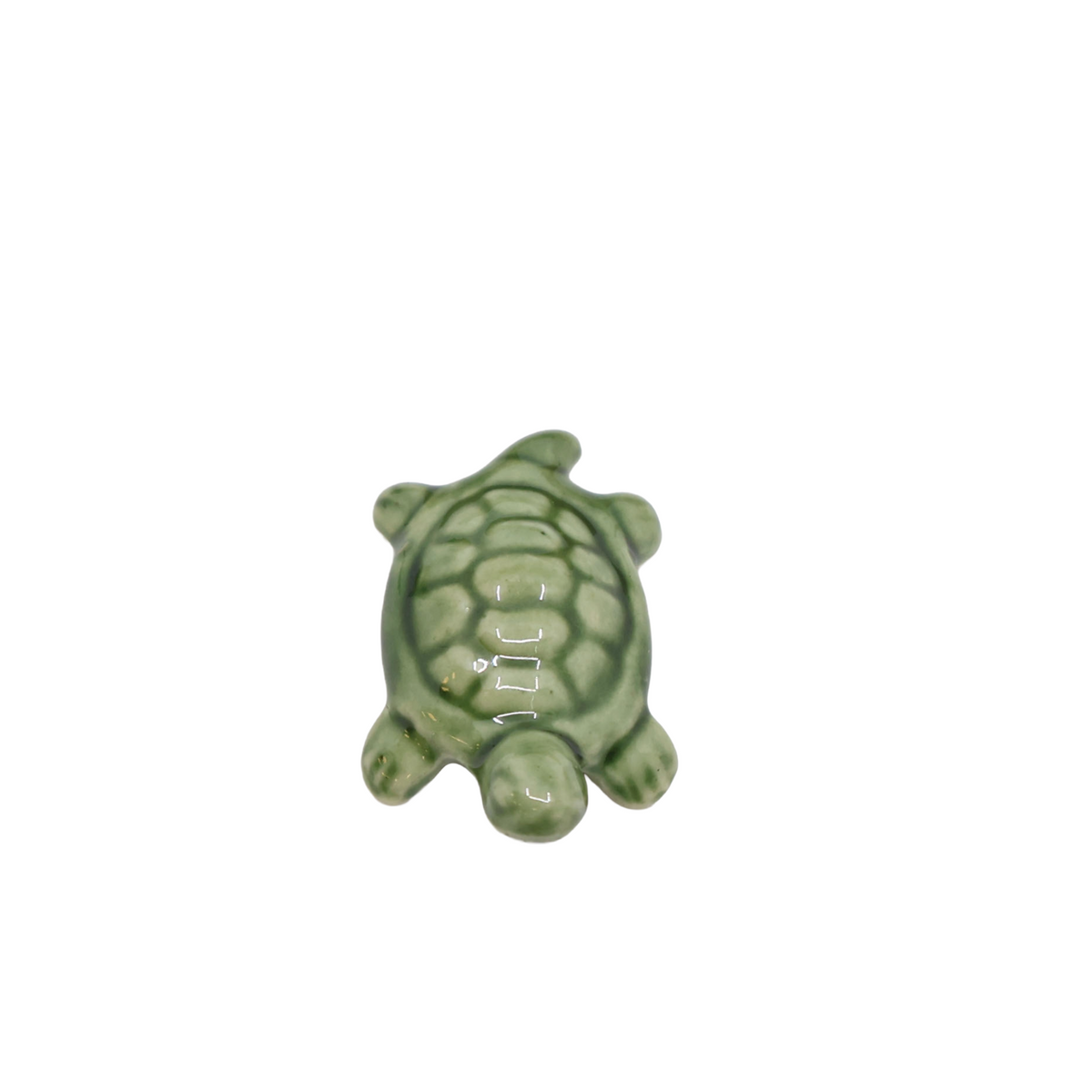 Bonsai Tenpai / Turtle (ceramic)