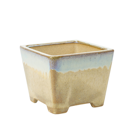 Bonsai pot beige square semi-cascade 13.7cm
