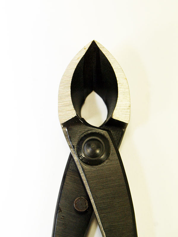 Bonsai concaaftang 205 mm