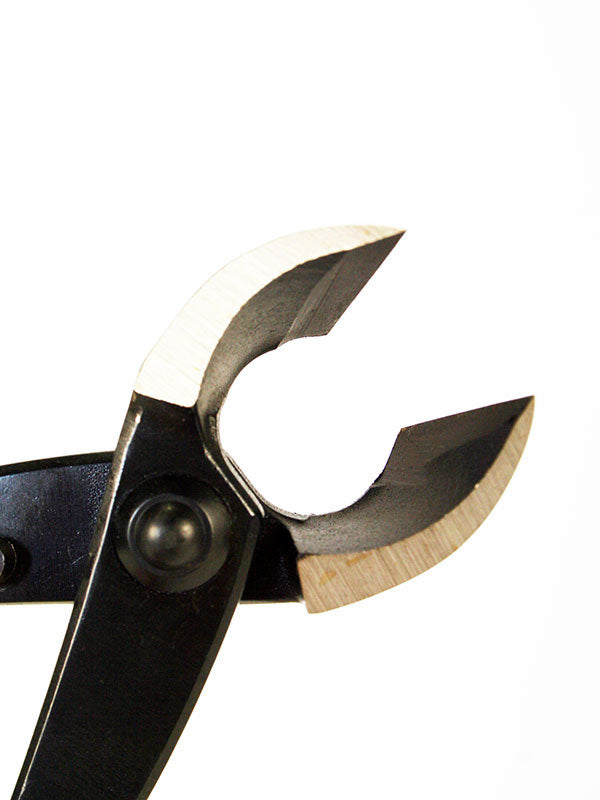 Bonsai concaaftang 205 mm