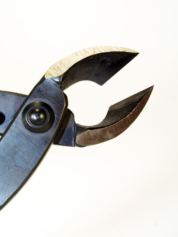 Bonsai concaaftang 270 mm