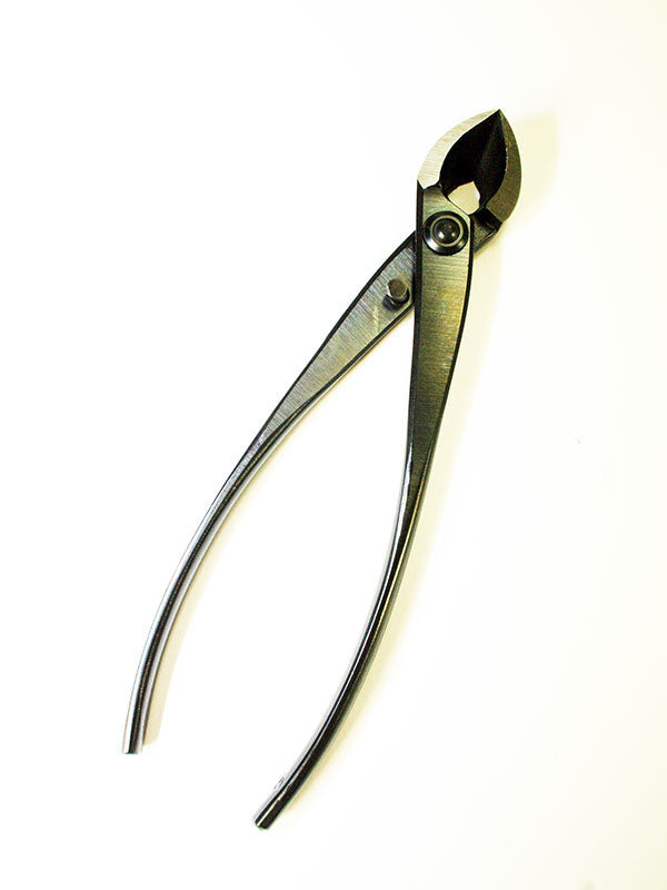 Bonsai concaaftang 170 mm