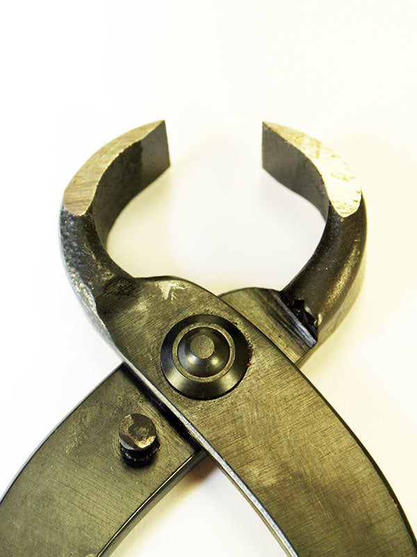 Bonsai worteltang 210 mm