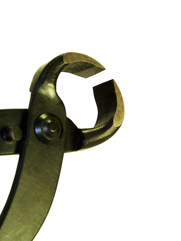 Bonsai worteltang 210 mm