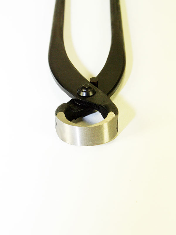 Bonsai worteltang 180 mm 