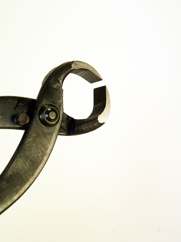 Bonsai worteltang 180 mm