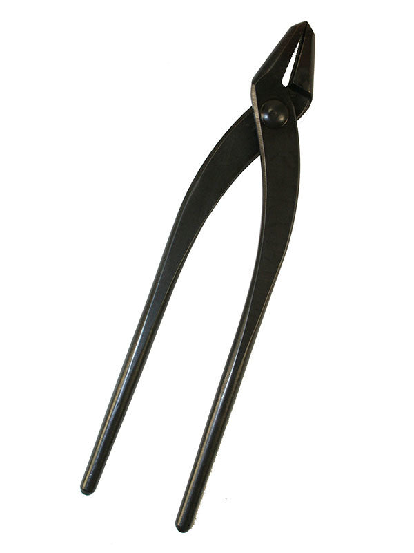 Bonsai jintang 180 mm