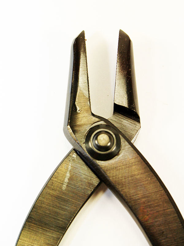 Bonsai jintang 230 mm