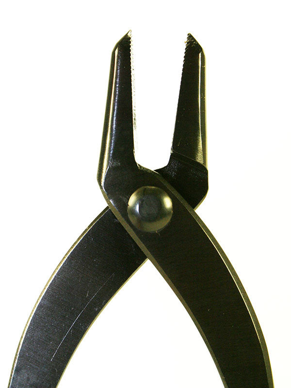 Bonsai jintang 230 mm