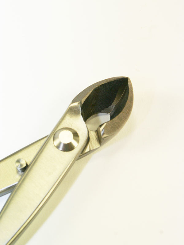 Bonsai concaaftang - Sferische RVS 180 mm