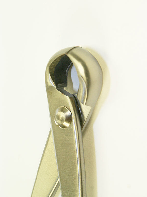 Bonsai knobbeltang RVS 180 mm