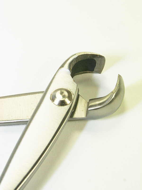 Bonsai knobbeltang RVS 180 mm