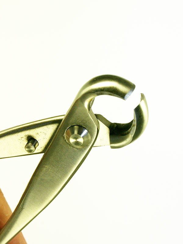 Bonsai knobbeltang RVS 180 mm