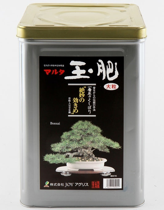 Bonsai Maruta Tamahi grote korrel - 8 kg