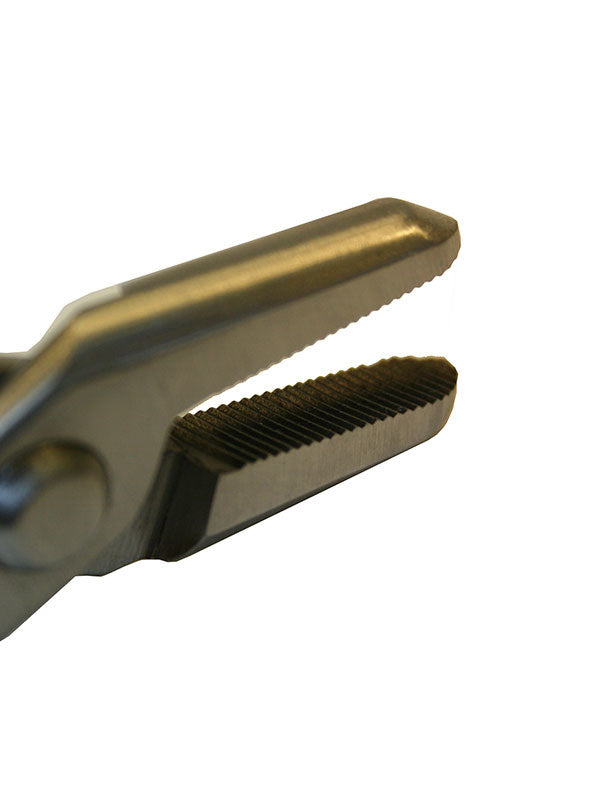 Bonsai Ryuga jintang RVS 208 mm