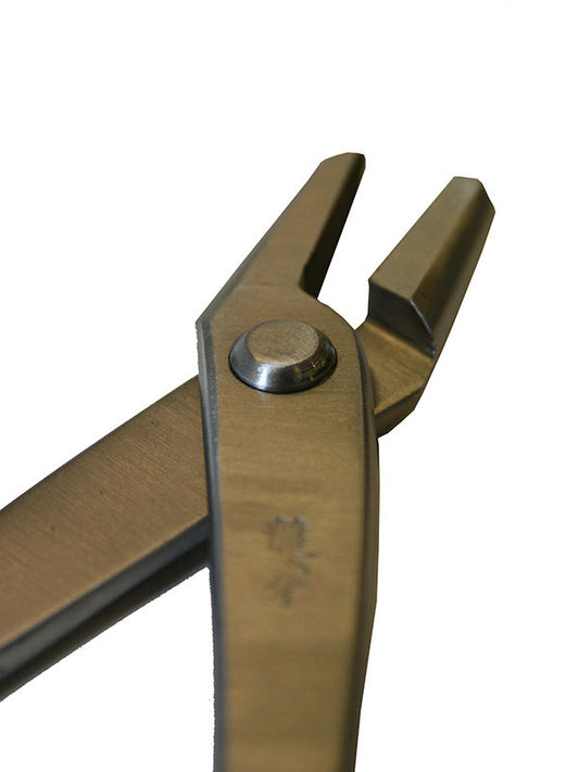 Bonsai Ryuga jintang RVS 208 mm