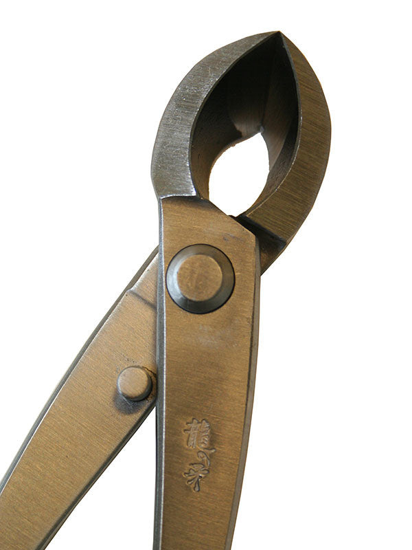 Bonsai Ryuga concaaftang RVS 203 mm