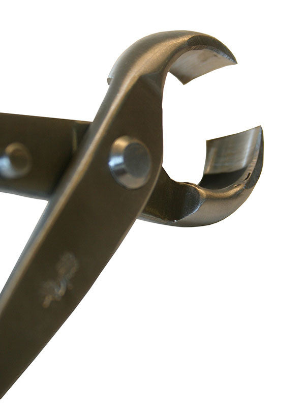 Bonsai Ryuga knobbeltang RVS 210 mm