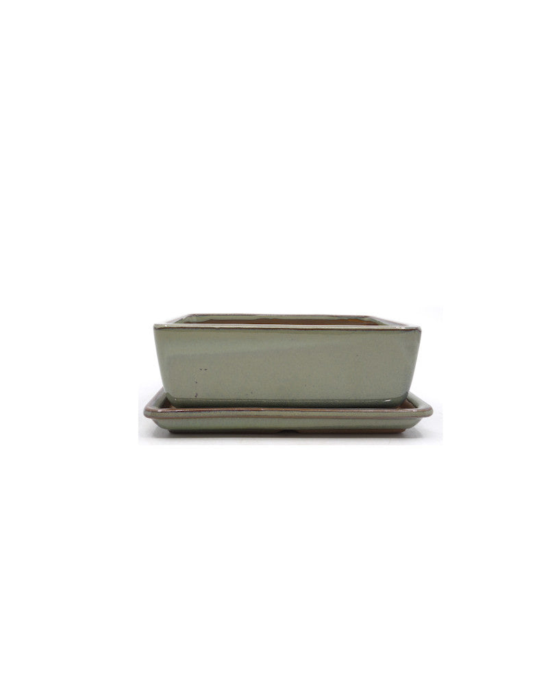 Bonsai pot green beige rectangular 12cm - set