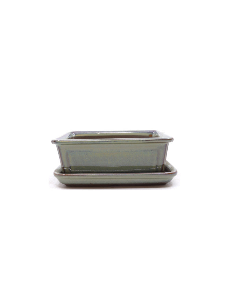 Bonsai pot green beige rectangular 15 cm - set