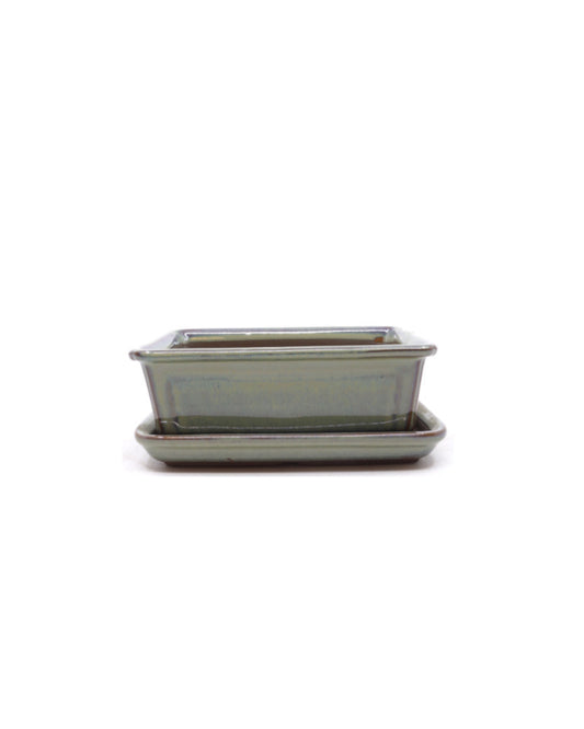 Bonsai pot green beige rectangular 15 cm - set