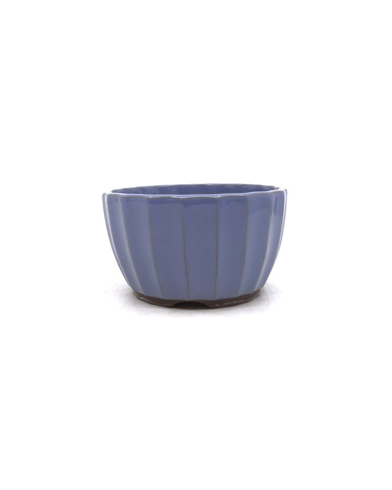 Bonsai pot licht blauw chrysanten 12cm