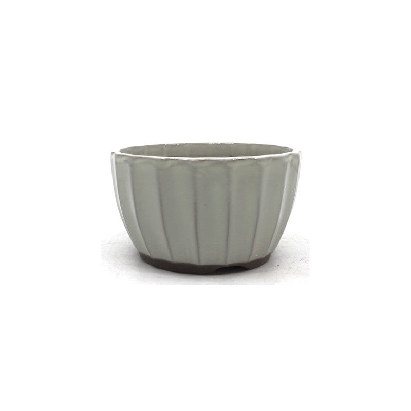 Bonsai pot white chrysanthemums 12 cm