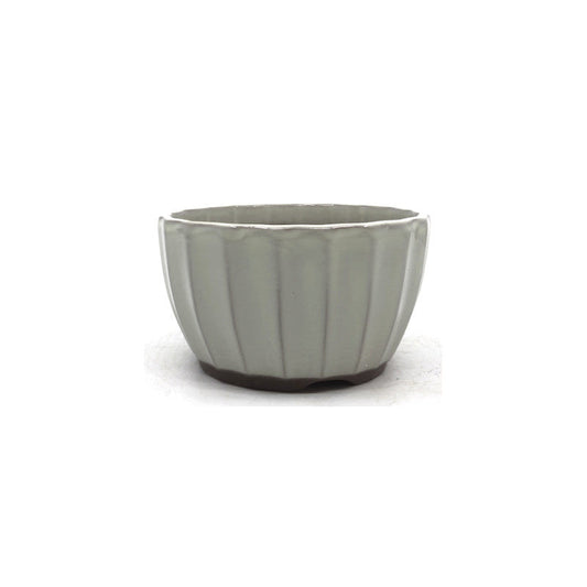 Bonsai pot white chrysanthemums 12 cm