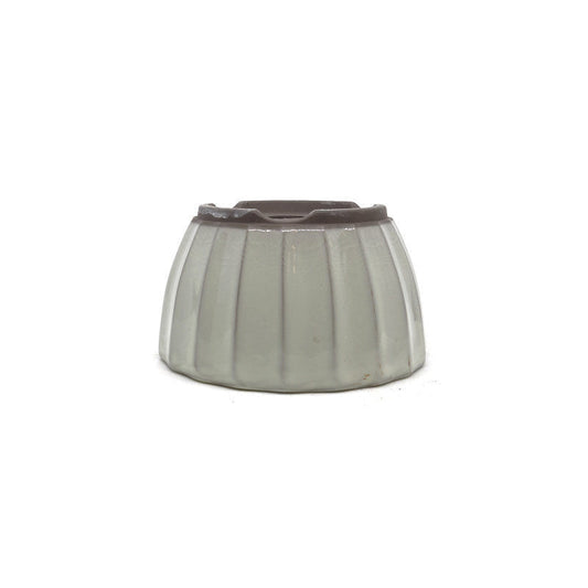 Bonsai pot wit chrysanten 12cm