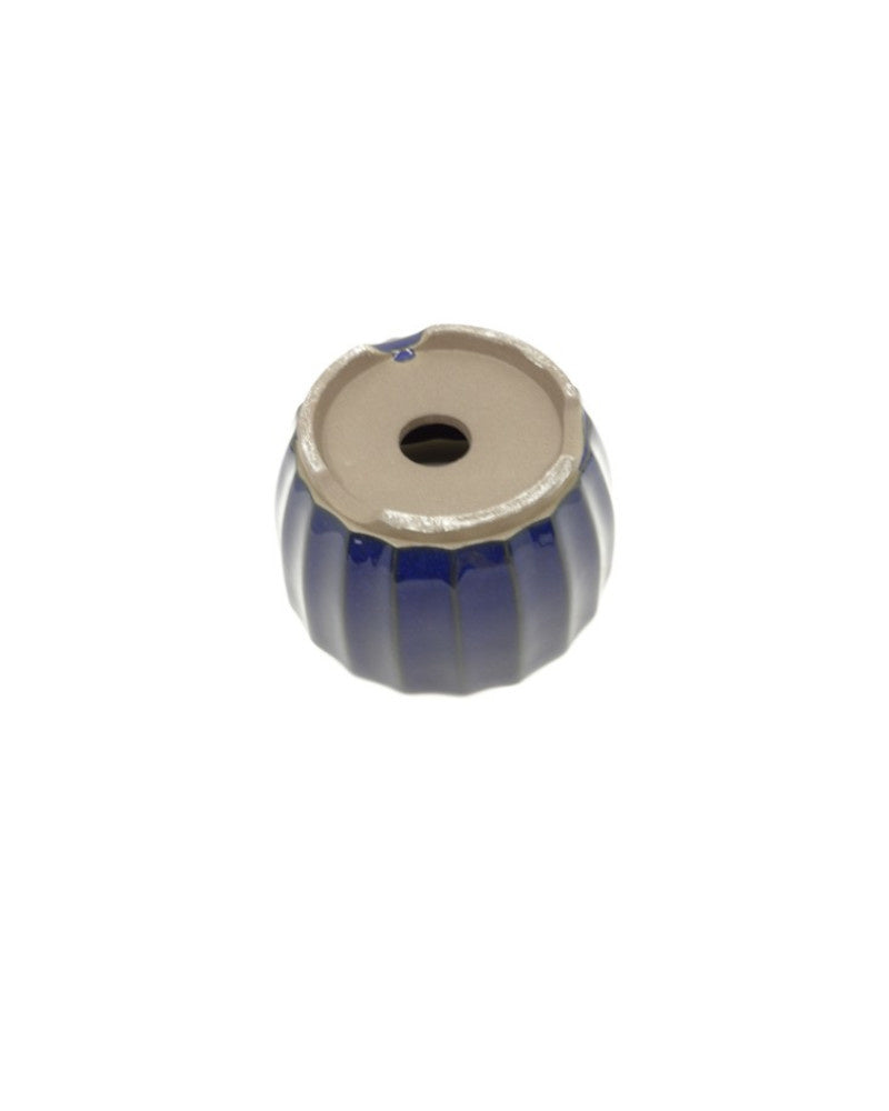 Shohin Bonsai Pot donker blauw chrysanten 10cm