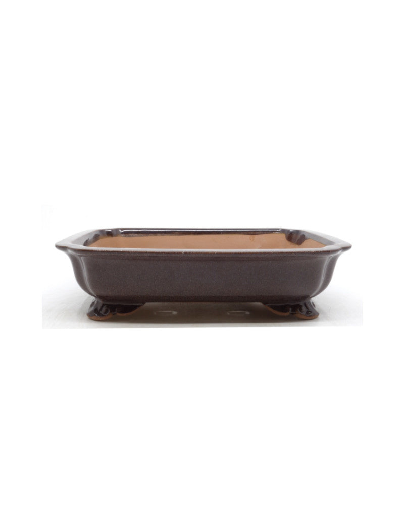 Bonsai pot rechthoek puce 25cm