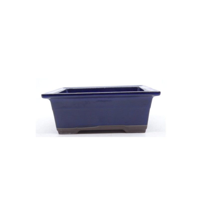 Bonsai pot blauwe rechthoekige 18cm