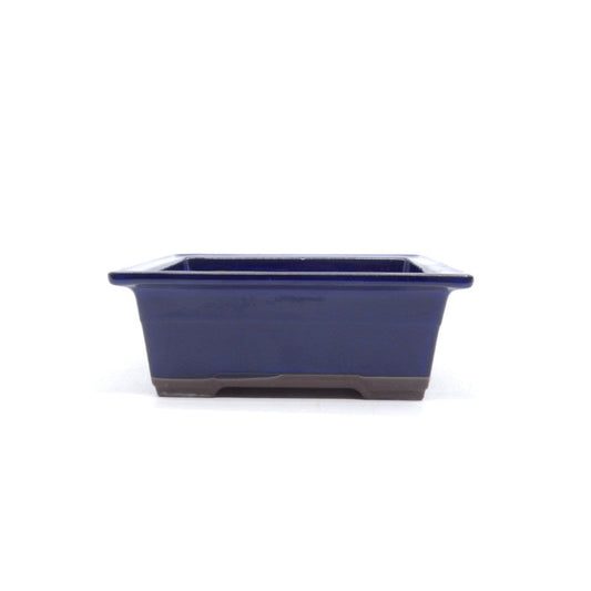 Bonsai pot blauwe rechthoekige 22cm