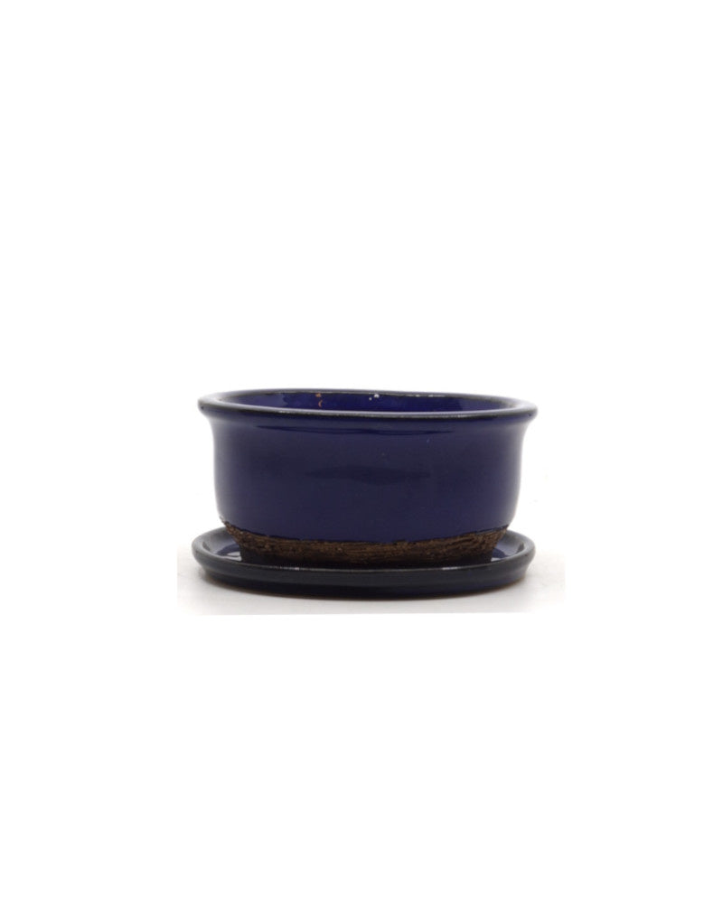 Bonsai pot blauw ovaal 12cm - set