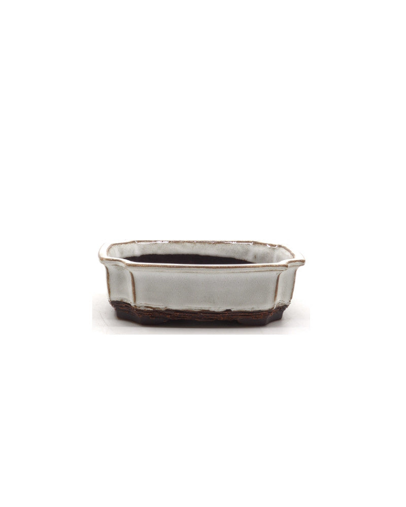 Bonsai pot wit mokko 15cm - set