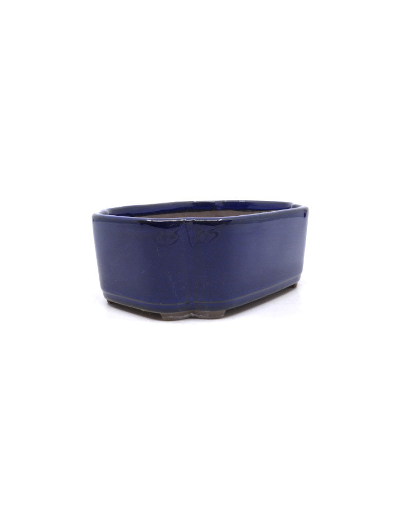 Bonsai pot, blue, lotus, 16cm