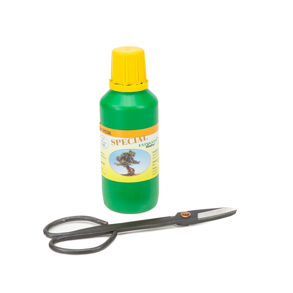 Care set (basic quality)