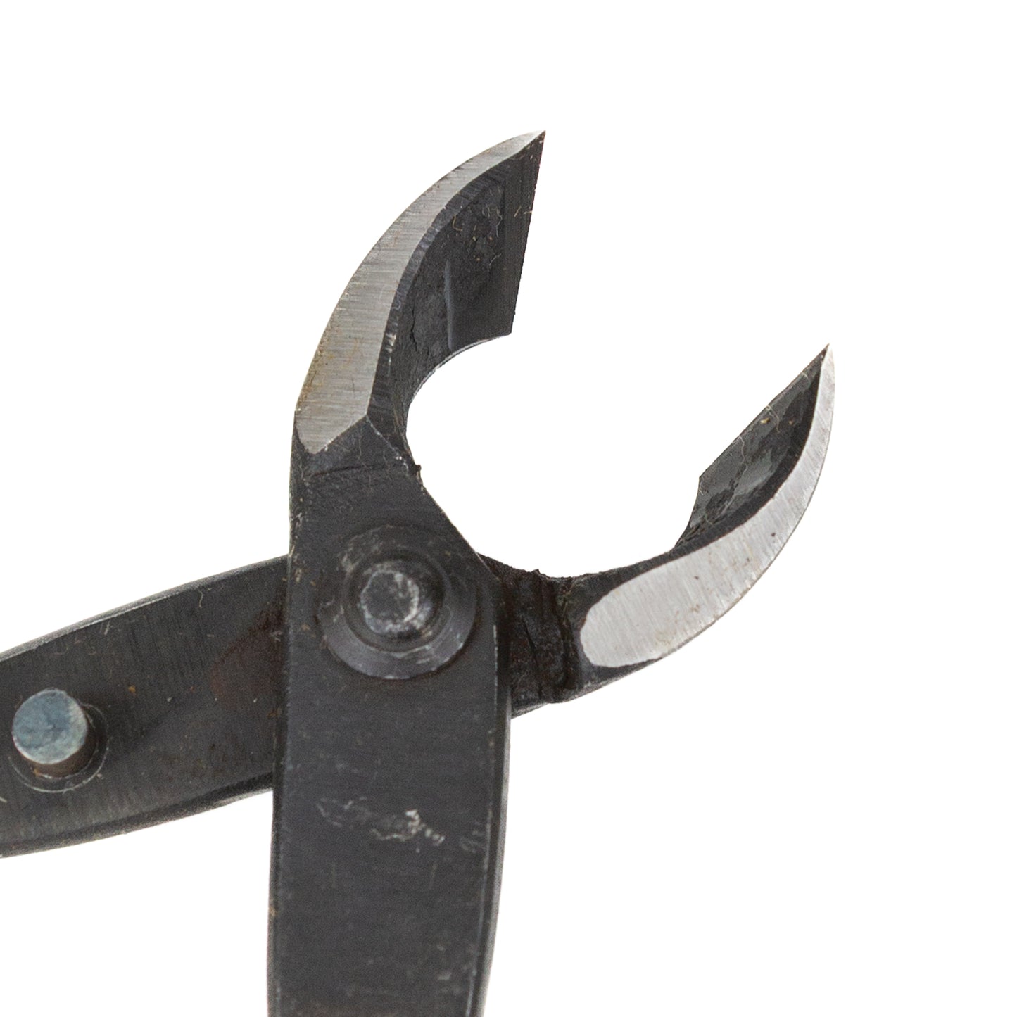 Bonsai Kaneshin concave pliers 165 mm