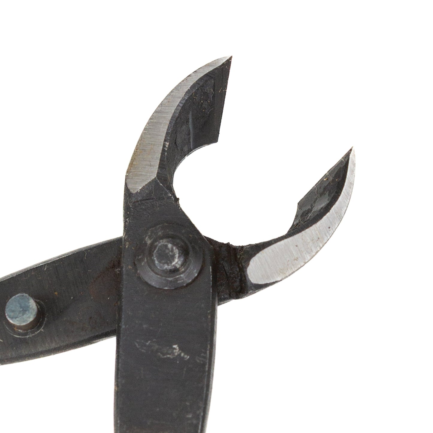 Bonsai Kaneshin concave pliers 165 mm