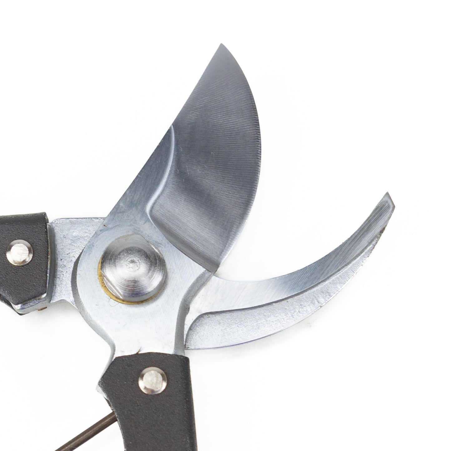 Bonsai pruning shears Protect Series